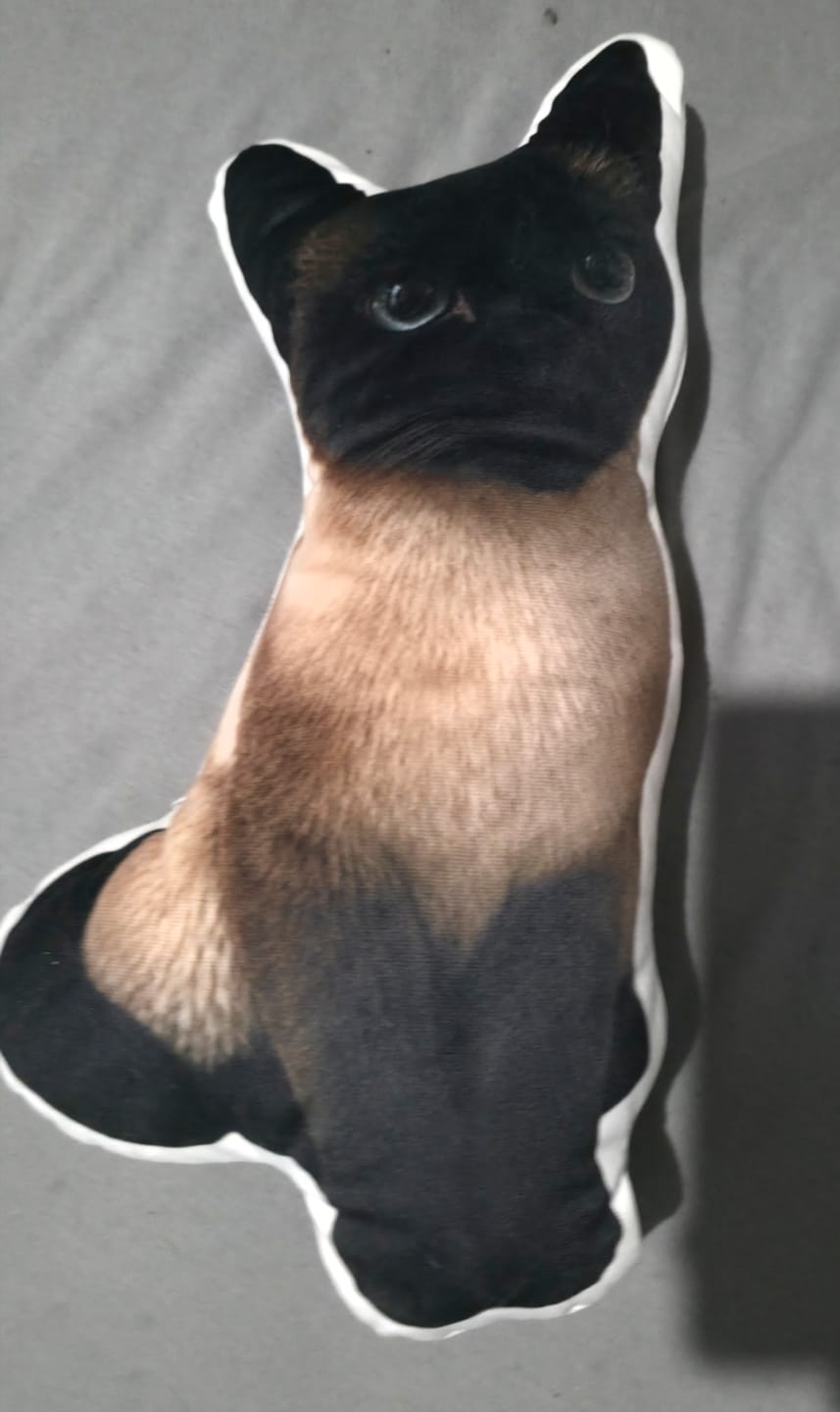 Customer photo review of Personalisiertes Formkissen - Dein Foto mit Katze