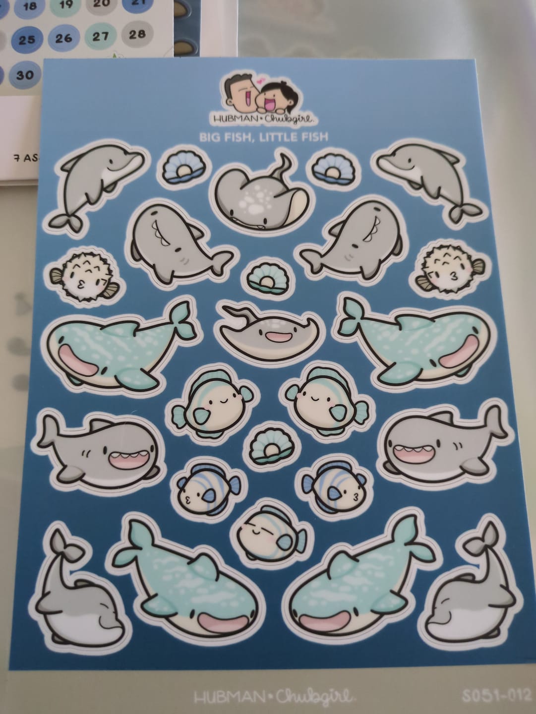 Customer photo review of Big Fish, Little Fish Sticker Sheet