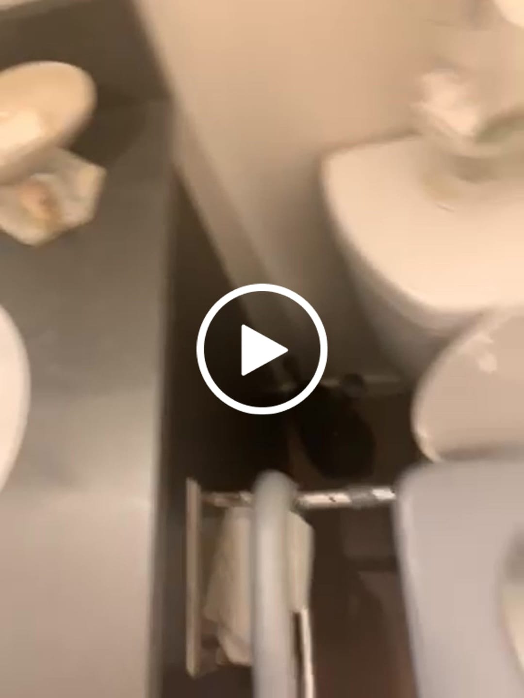 Customer video review of Raised Toilet Seat With Handles (400lb)