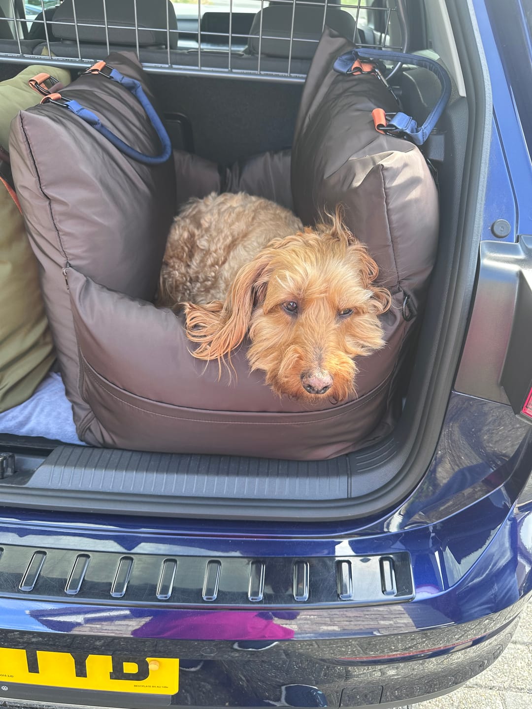 Customer photo review of Travel Dog Pod - Now With IsoFix