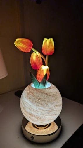 Customer photo review of FloraGlow™ – Lámpara LED de Tulipanes Original | Pocas unidades disponibles