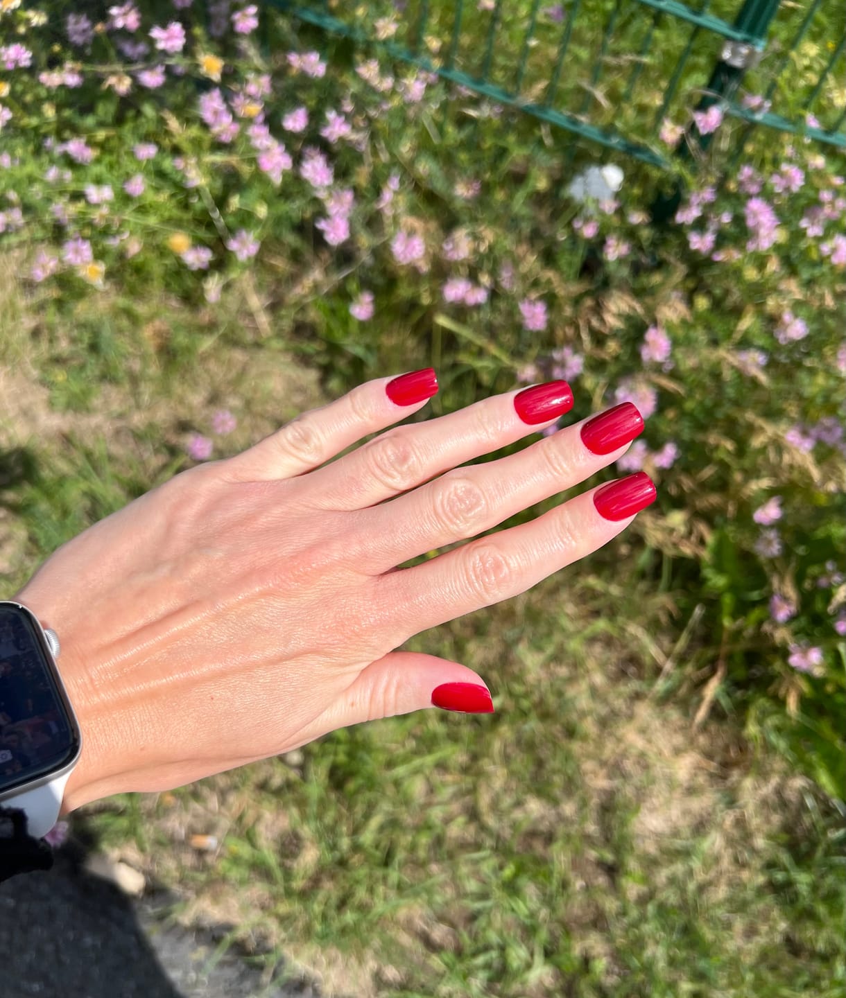Customer photo review of Starter Set - Nail Veneers