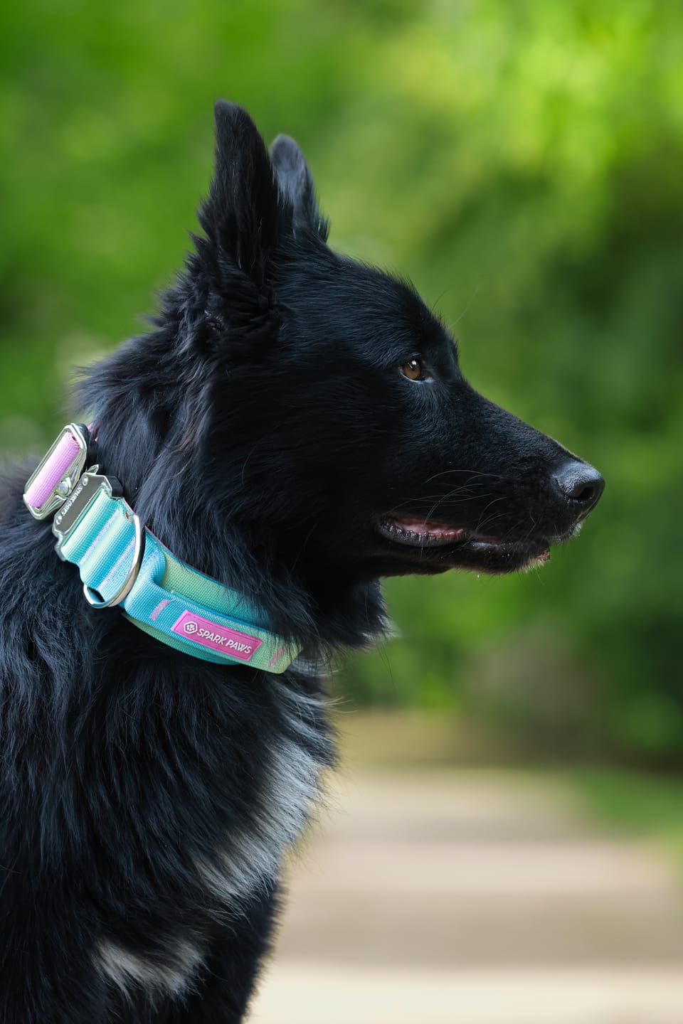 Customer photo review of Comfort Control Collar - Pastel Icing
