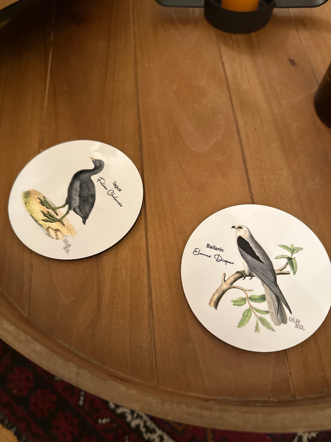 Customer photo review of Set de 6 Posavasos Aves de Chile | ULMMO