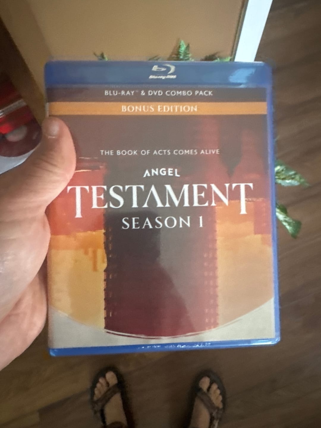 Customer photo review of Testament Season 1 Blu-ray + DVD