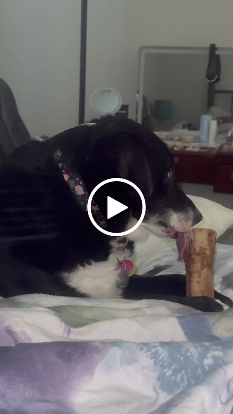 Customer video review of Erik's Mystery Chew or Treat