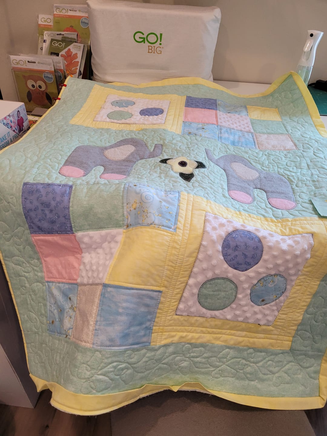 Customer photo review of Juki Haruka TL-18QVP Quilting Machine