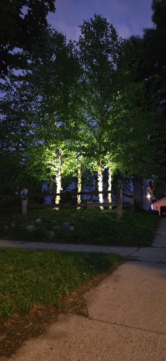 Customer photo review of TSUN Solar Spotlights Outdoor Garden Lights