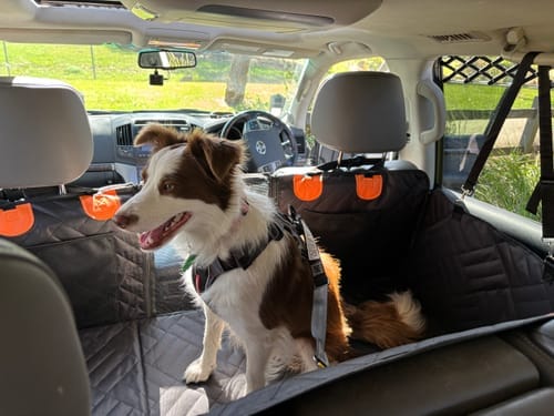 Customer photo review of MrBarks Dog Seat Cover