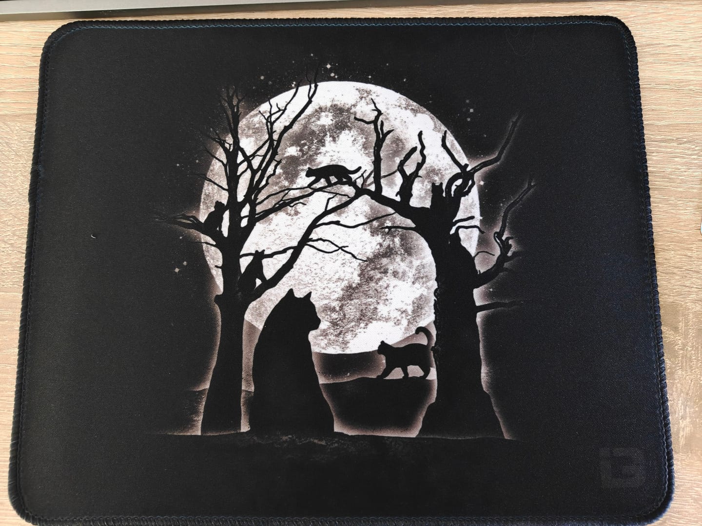 Customer photo review of Moonlight Felines