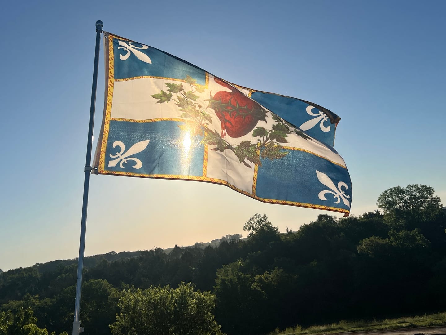 Customer photo review of New Sizes! Flag of the Sacred Heart – Blue - Indoor/outdoor Flag – Polyester – 6 Sizes