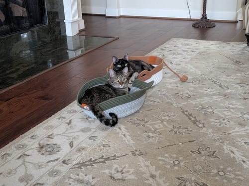 Kundenbewertung mit Foto zu Fellnest Katzenkorb