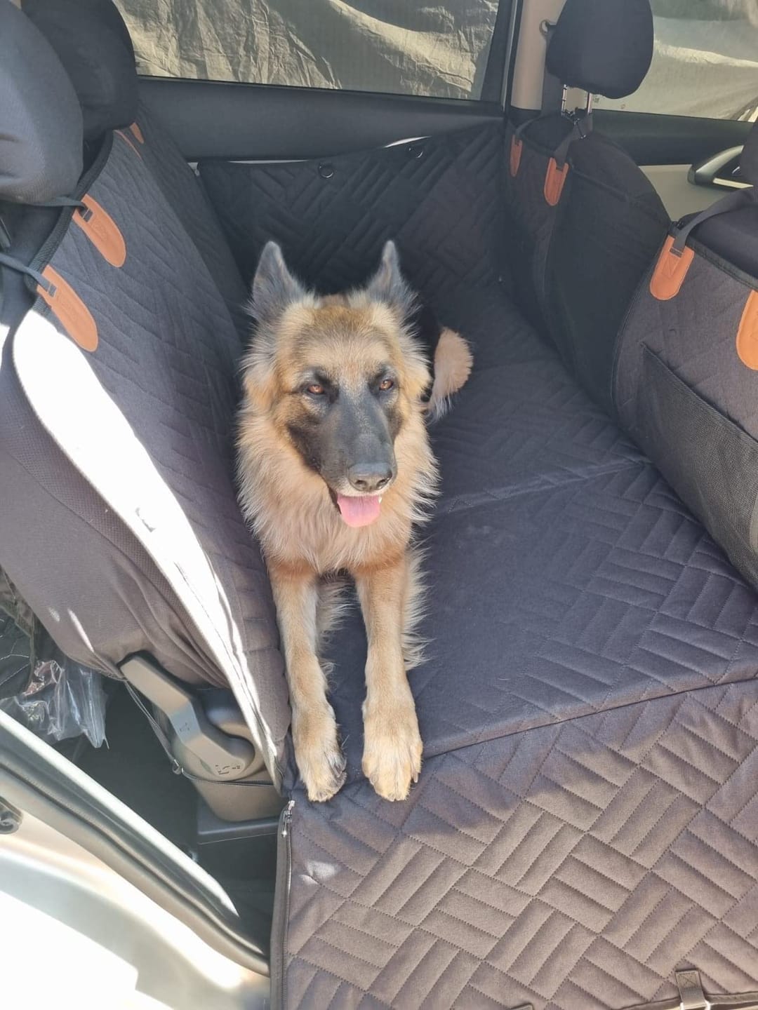 Customer photo review of MrBarks Dog Seat Cover
