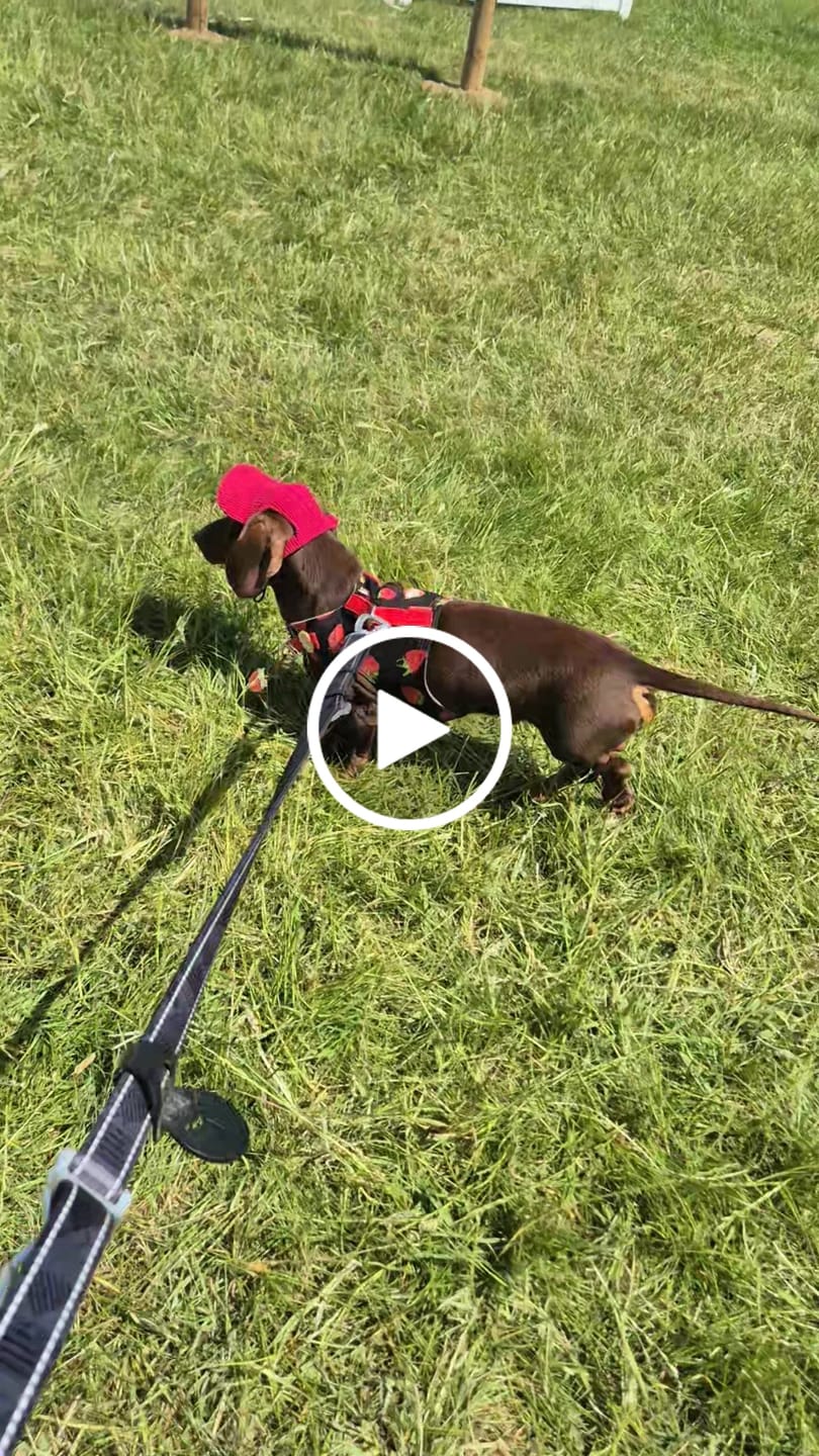 Customer video review of Multi-Way Lead