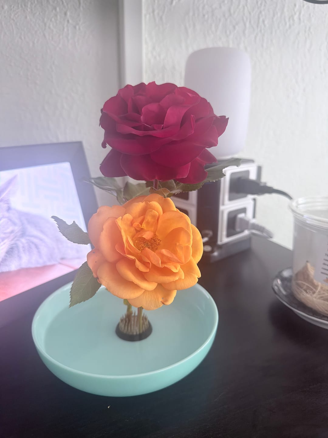 Customer photo review of Kenzan 34 mm Flower Frog