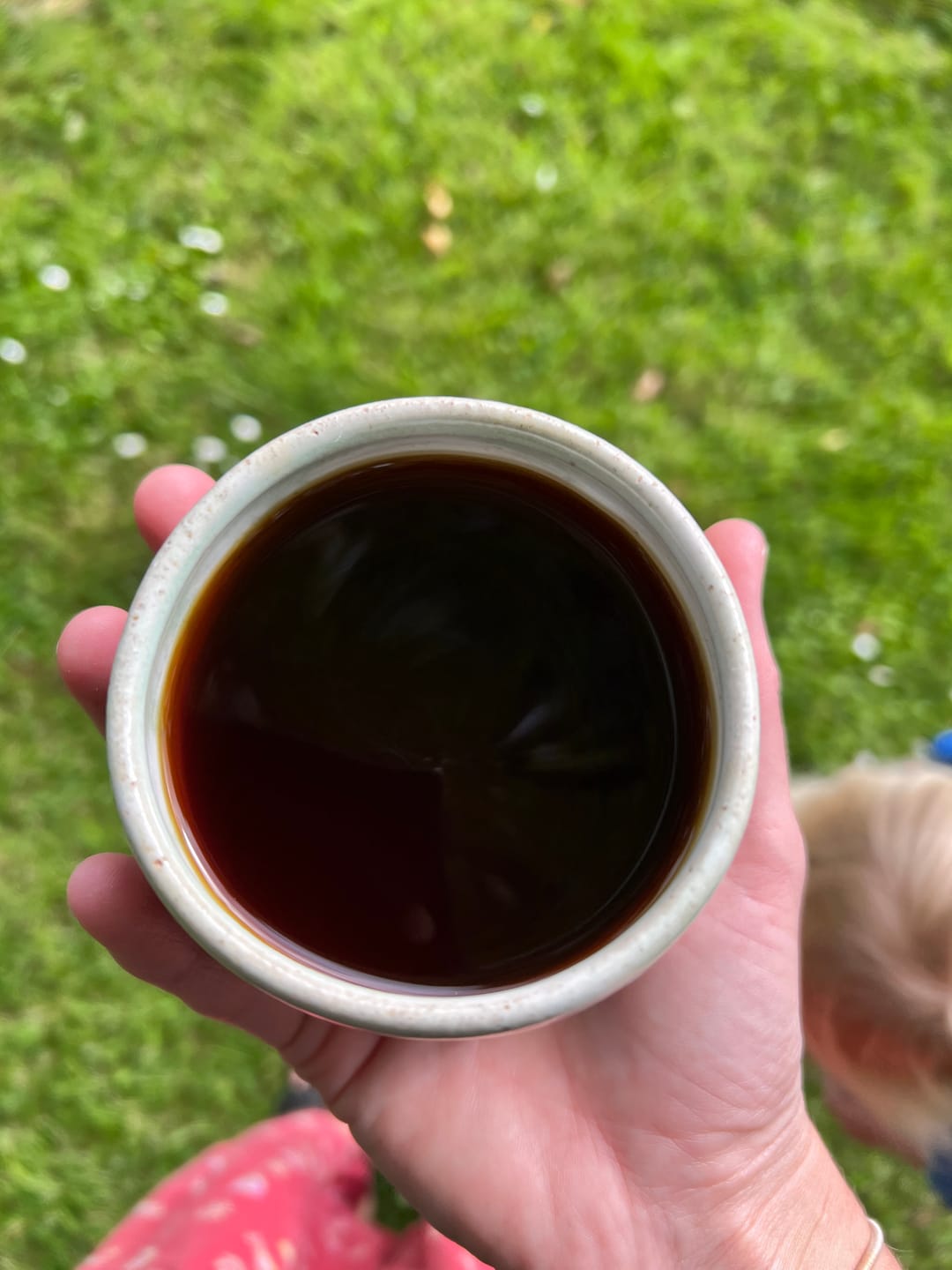 Customer photo review of Chaga Mushroom Powder
