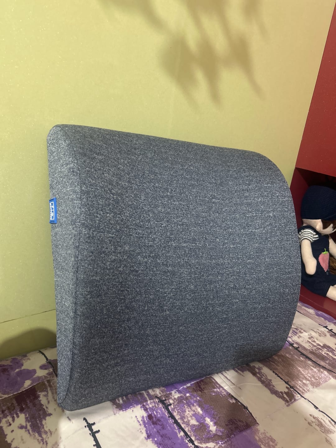 Customer photo review of Back Support Cushion