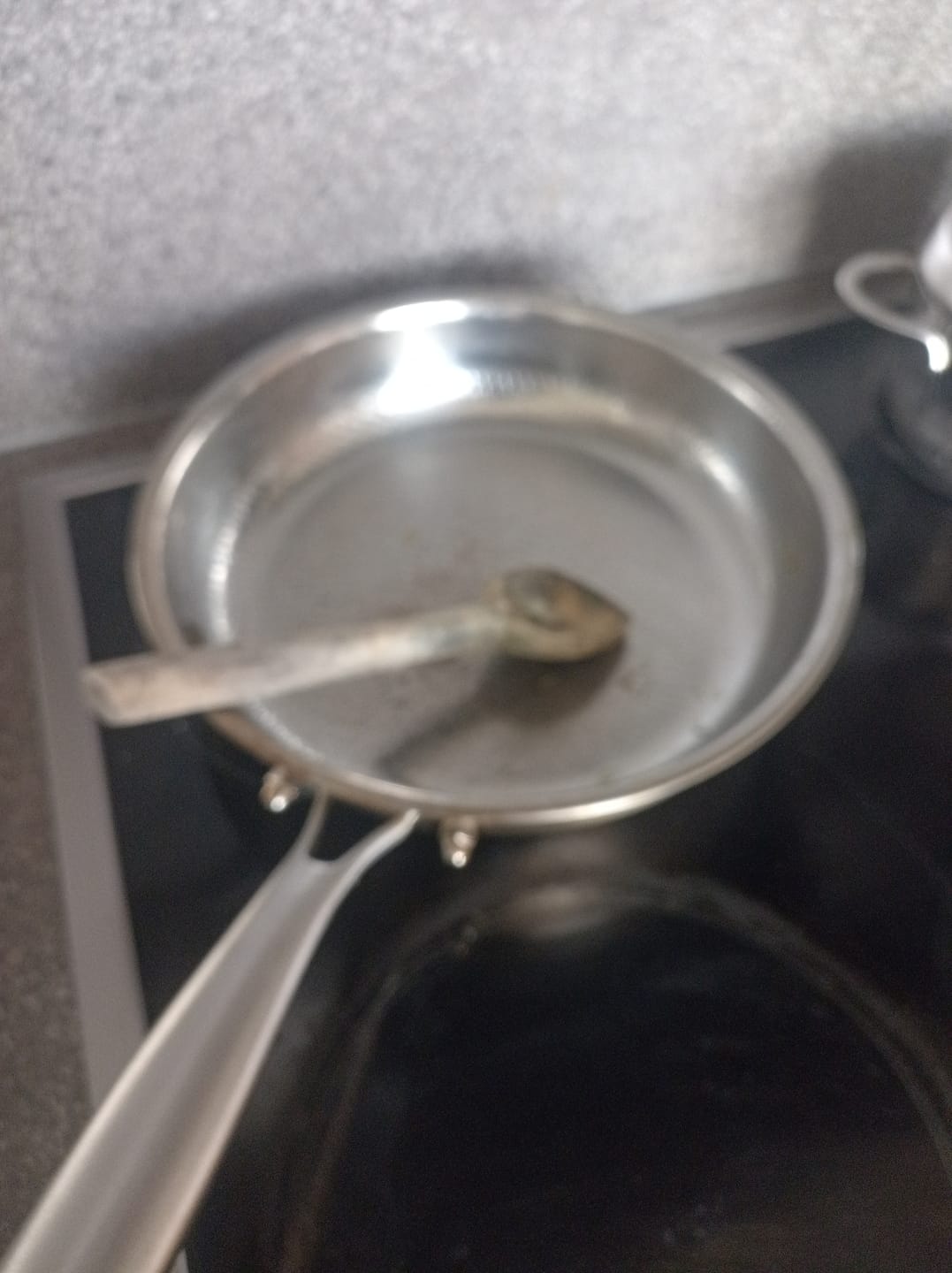 Customer photo review of Mastering Titanium Cookware eBook