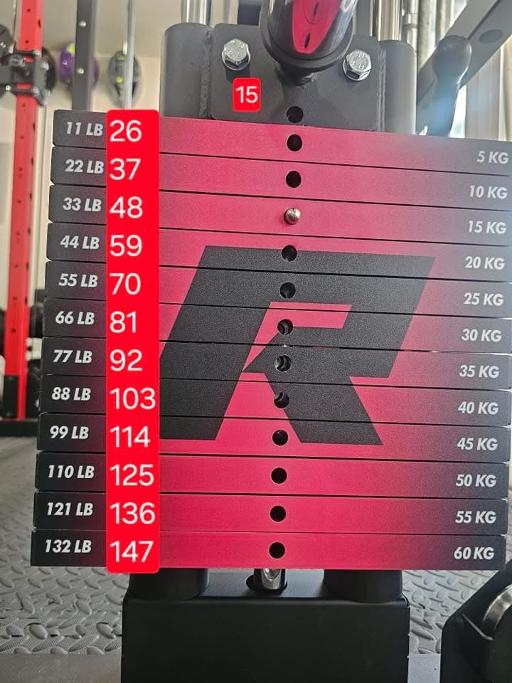 Customer photo review of RitFit WSM1 Weight Stack Set 264lbs for M1 PRO