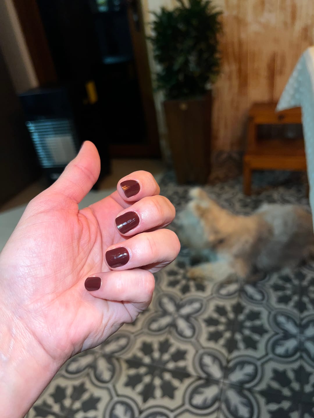 Customer photo review of Vinotinto | Stickers de Gel