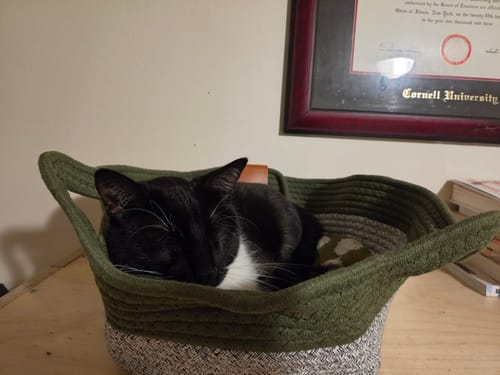 Kundenbewertung mit Foto zu Fellnest Katzenkorb