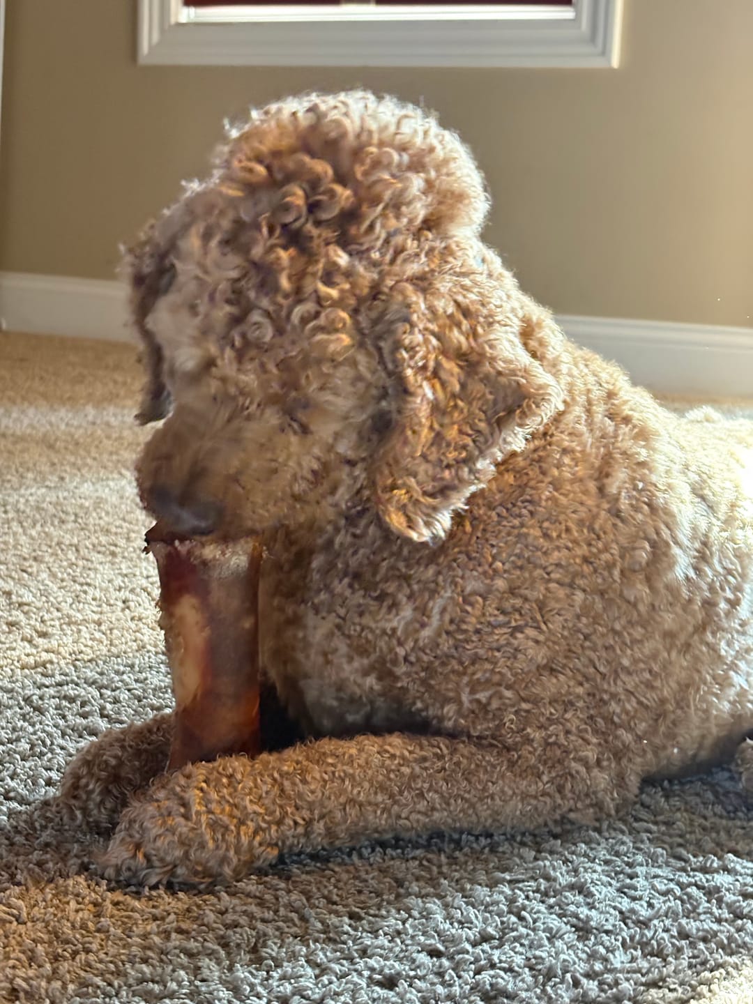 Customer photo review of Erik's Mystery Chew or Treat