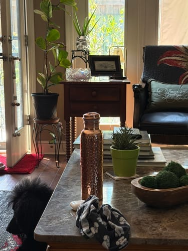 Customer photo review of NOEVA Source™