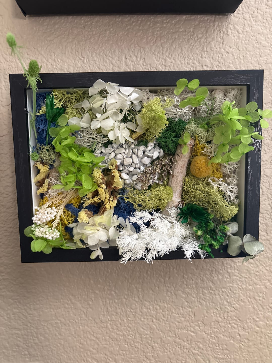 Customer photo review of Frame for moss art