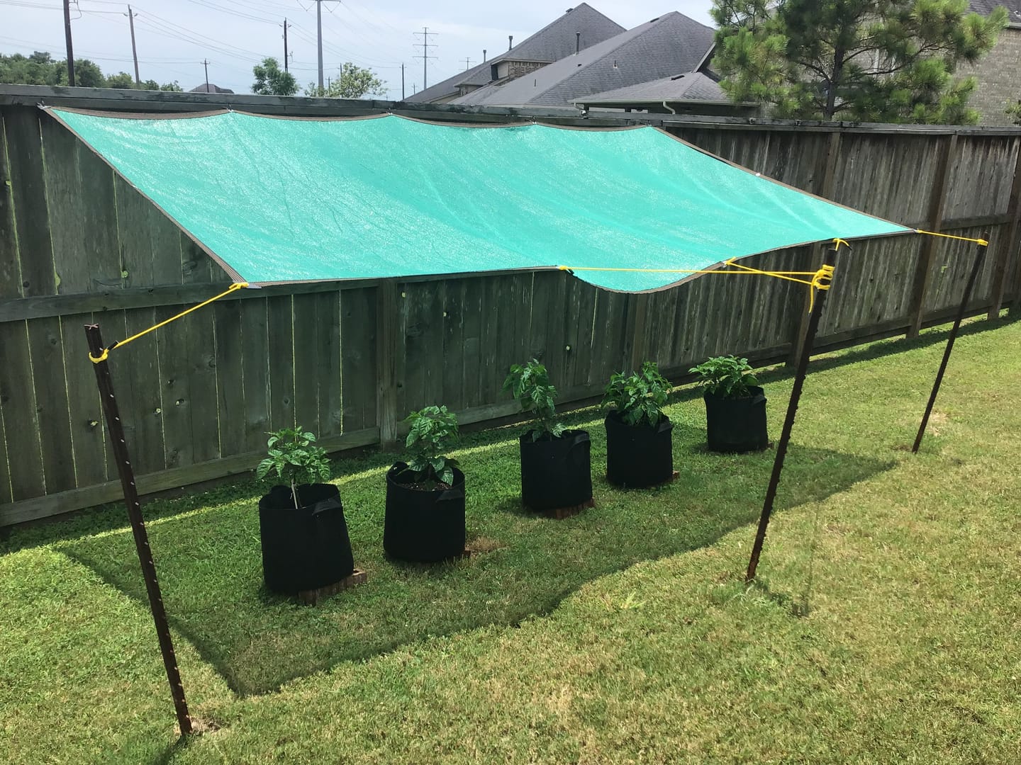Customer photo review of 40% Shade Cloth