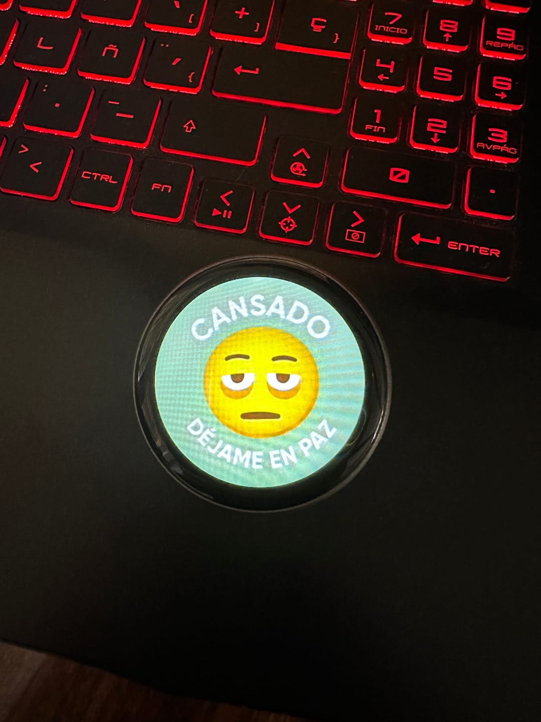 Customer photo review of Memo Pin - Estados de Ánimo