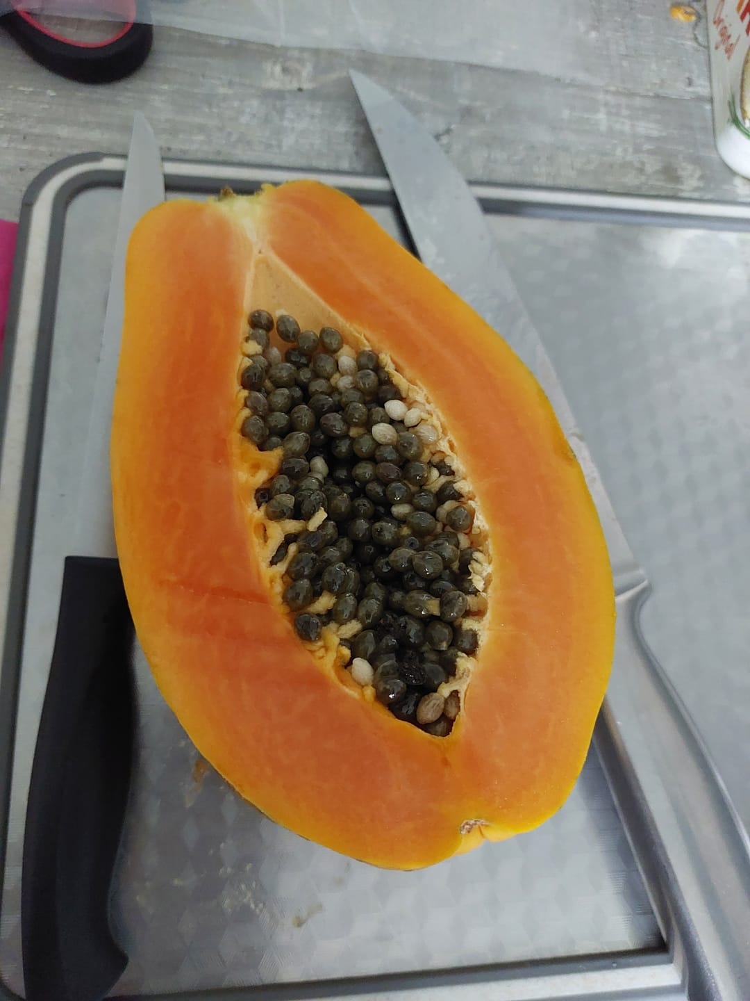 Customer photo review of Papaya Bio von Julian Wochenaktion %