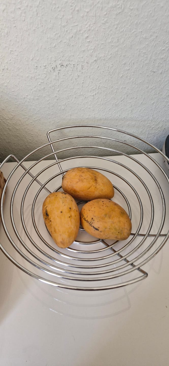 Customer photo review of Mango Mingolo baumgereift Sonderaktion % 2kg Box