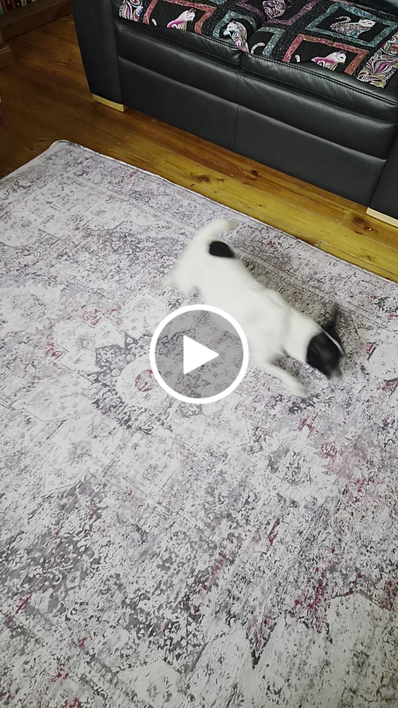 Customer video review of The Mellow Mat v2® Designer Print | Aurora (Soft Touch Sensory Tatami Rug) PR07 {CLEARANCE}