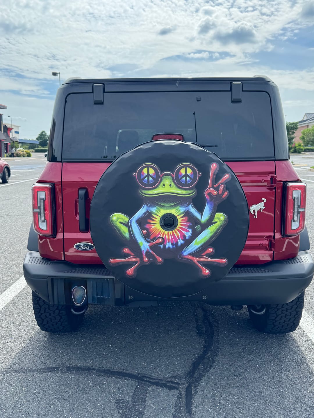Customer photo review of CUSTOM DESIGN Tire Cover