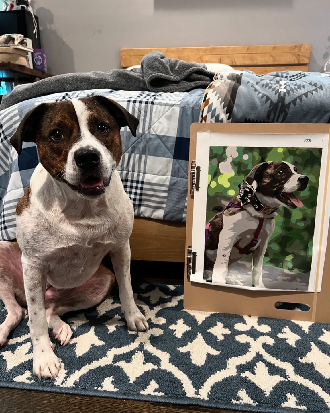 Customer photo review of Custom Paint By Numbers - Personalized Pet Portraits