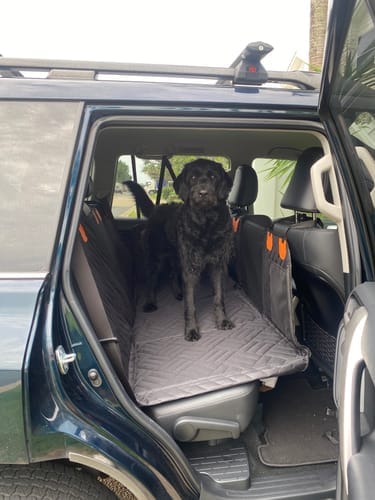 Customer photo review of MrBarks Dog Seat Cover