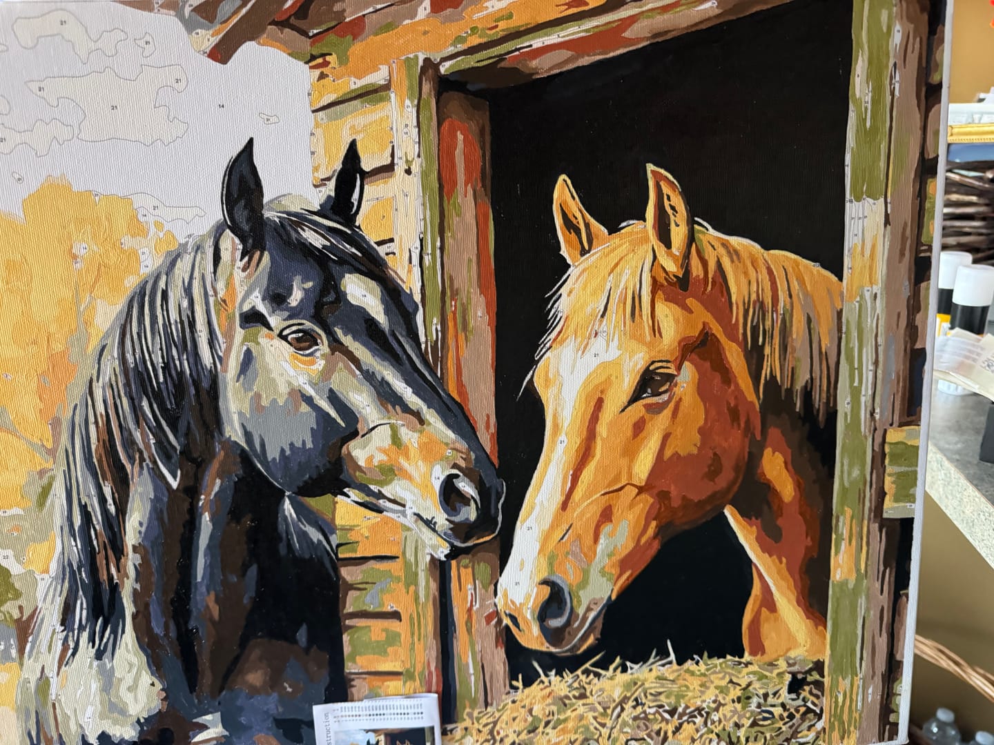 Customer photo review of Stable Companion