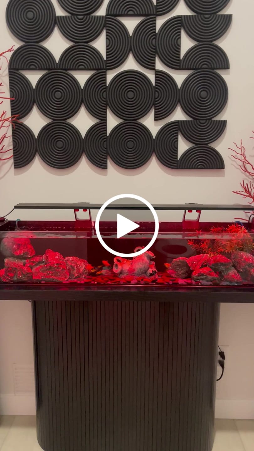 Customer video review of Peter's Premium Aquarium Substrate - Cortez Creek