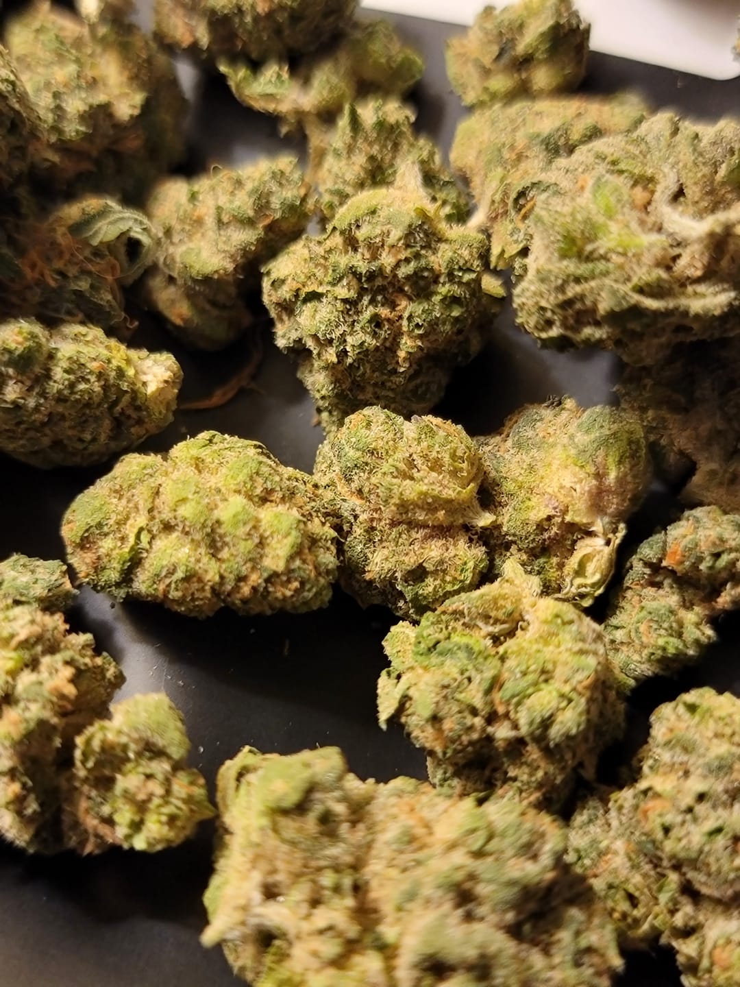 Customer photo review of Zkittlez THCA Flower (Budget)