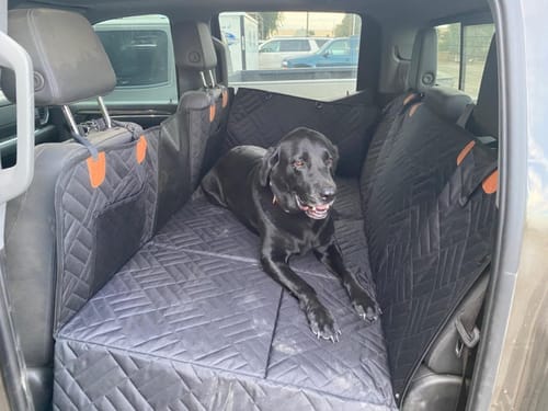 Customer photo review of MrBarks Dog Seat Cover