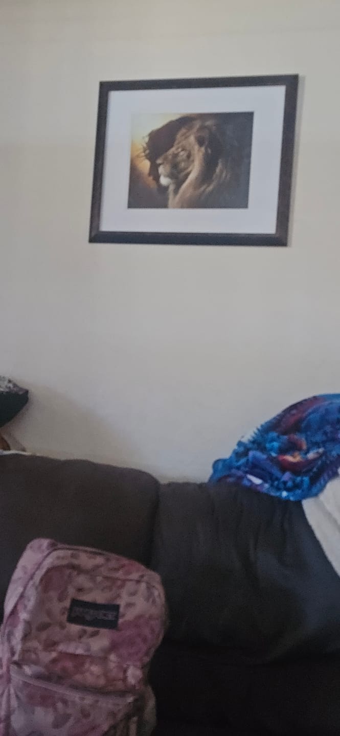 Customer photo review of The Lion of Judah™