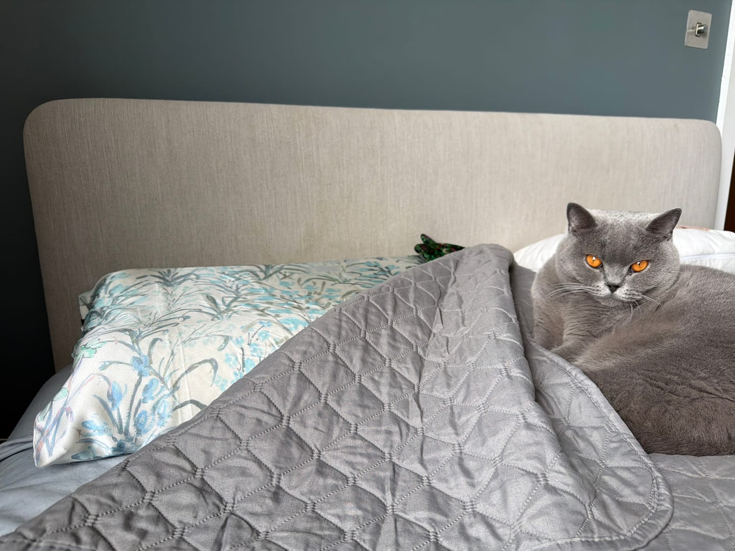 Customer photo review of Aqua Dreamscape Pure Silk Pillowcase