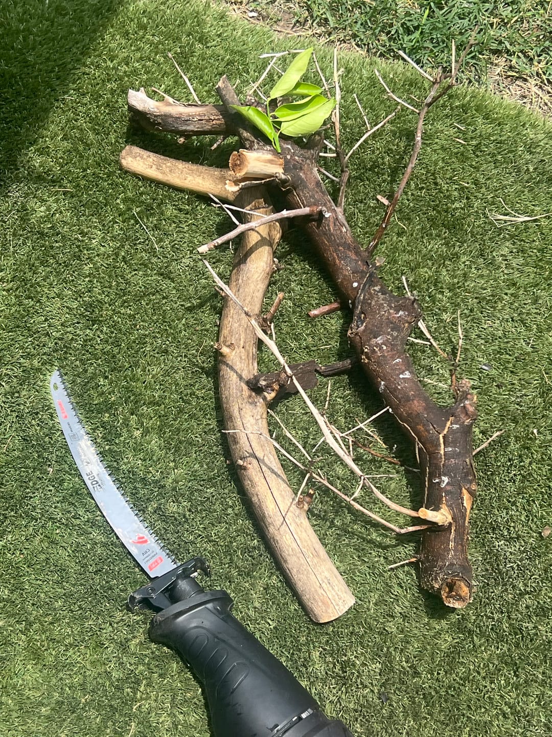 Customer photo review of Tree Trimming/Wood Cutting – Japanese Teeth Arc Edge 6 TPI Reciprocating Saw Blade