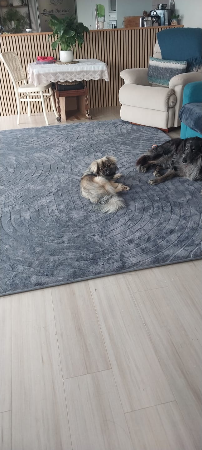 Customer photo review of Designer Relax Mat - 35mm Thick Foam Base
