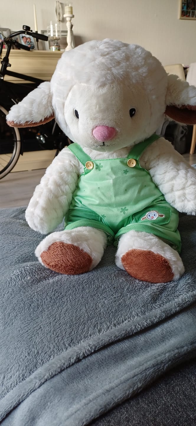 Customer photo review of Schaap Kleding Lente Lotgenootje