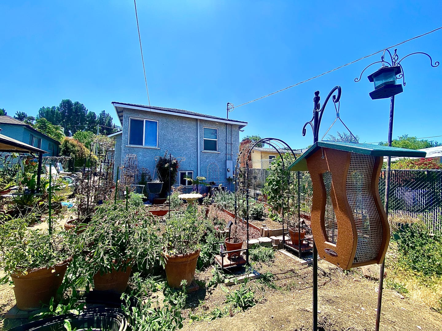 Customer photo review of Recycled Large Capacity Peanut Bird Feeder