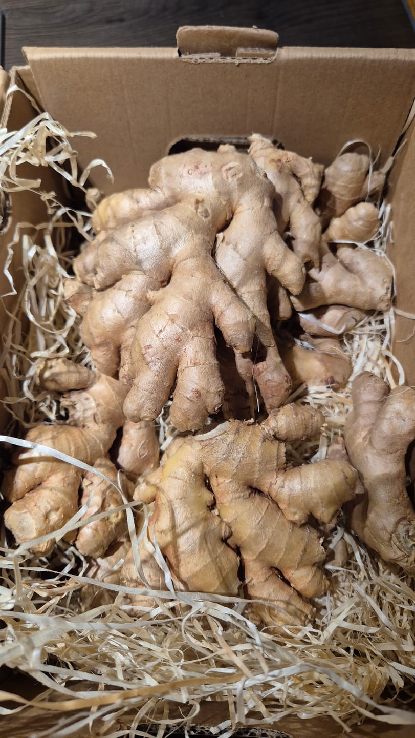Customer photo review of Ingwer Bio aus Peru mit Schale verwertbar!