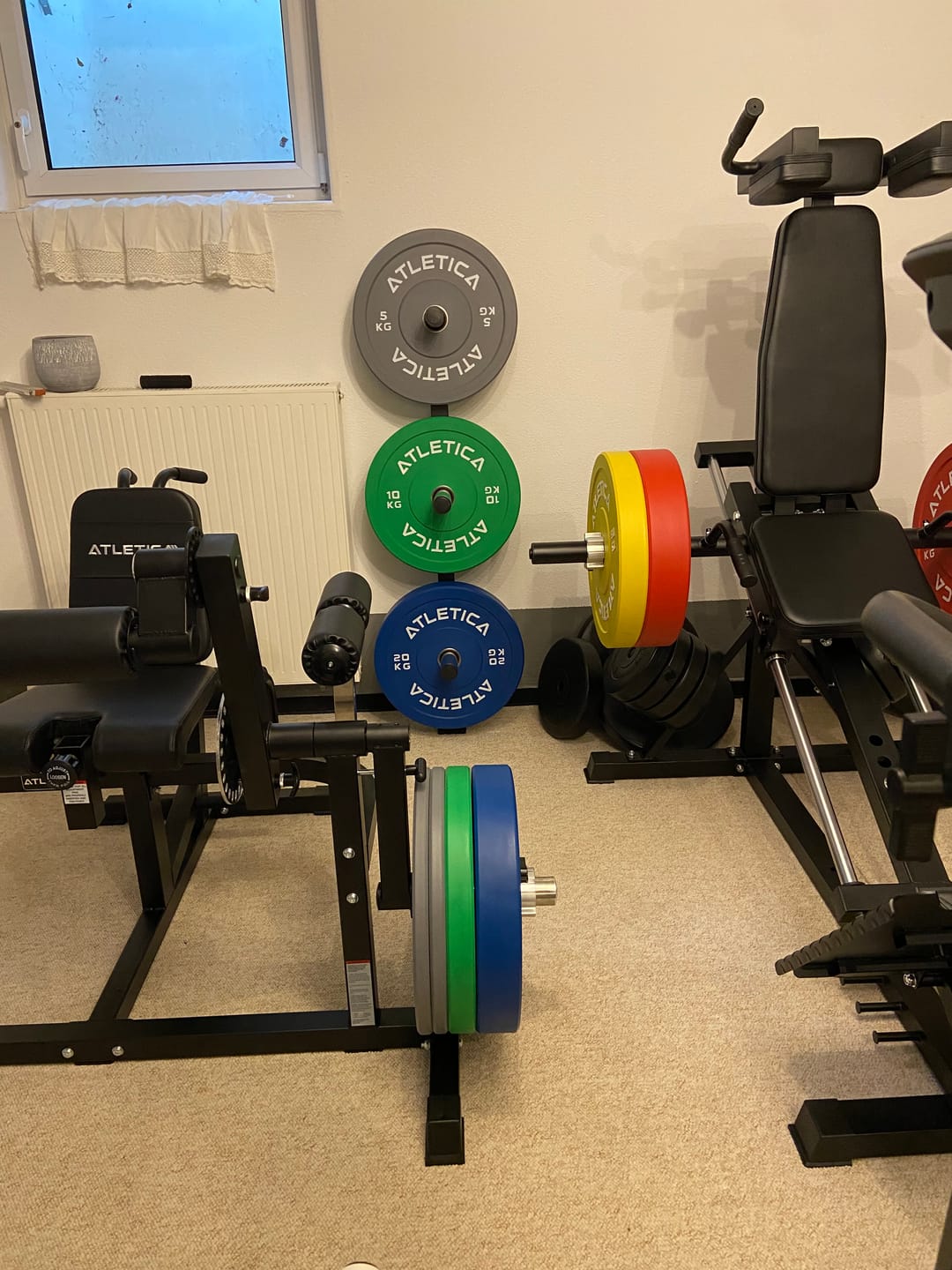 Customer photo review of Color Bumper Plates | Paar