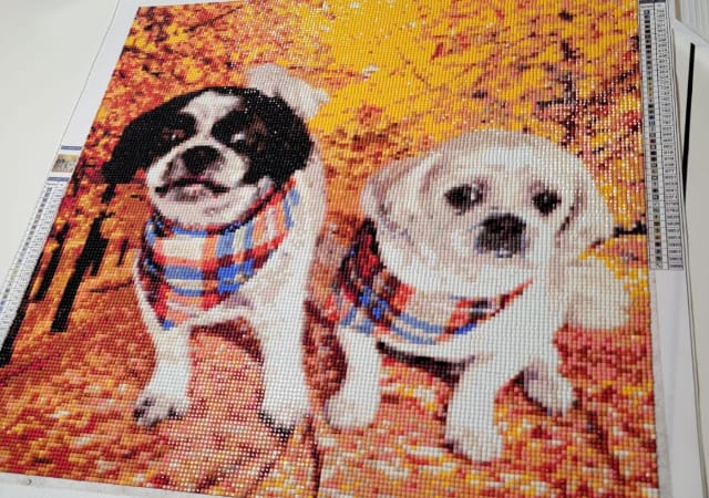 Customer photo review of Custom Diamond Painting Kits