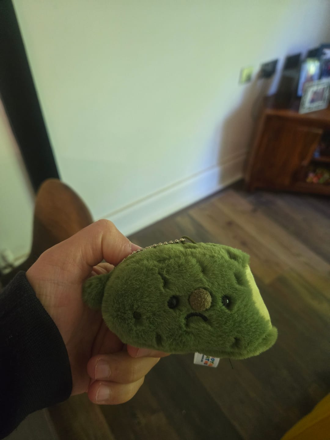 Customer photo review of Forgotten Bitten Pickle